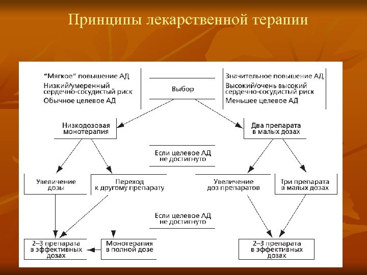 Принципы лекарственной