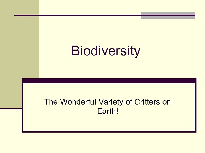 Biodiversity The Wonderful Variety of Critters on Earth! 