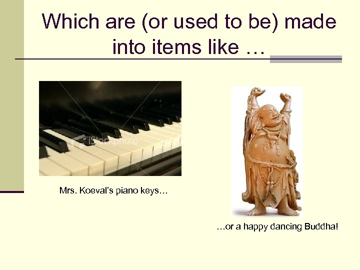 Which are (or used to be) made into items like … Mrs. Koeval’s piano