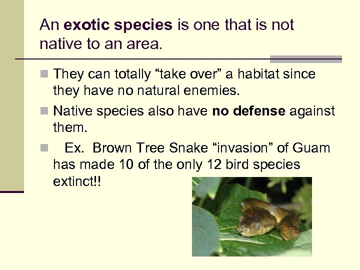 An exotic species is one that is not native to an area. n They