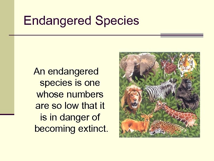 Endangered Species An endangered species is one whose numbers are so low that it