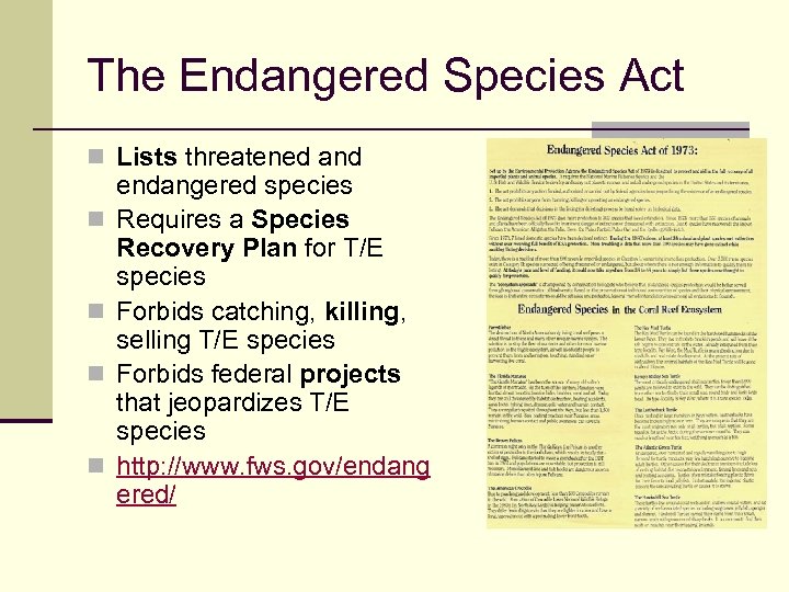 The Endangered Species Act n Lists threatened and n n endangered species Requires a