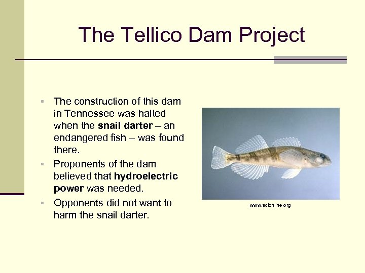 The Tellico Dam Project The construction of this dam in Tennessee was halted when