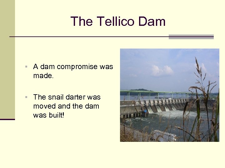 The Tellico Dam § A dam compromise was made. § The snail darter was