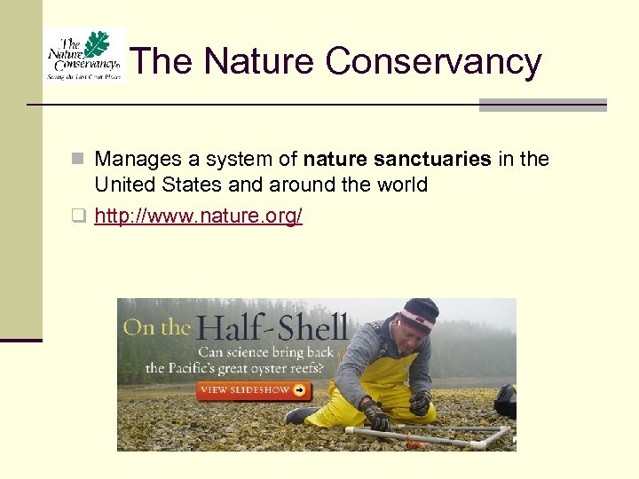 The Nature Conservancy n Manages a system of nature sanctuaries in the United States