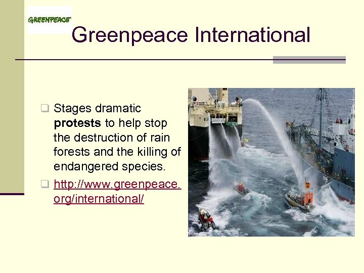 Greenpeace International q Stages dramatic protests to help stop the destruction of rain forests