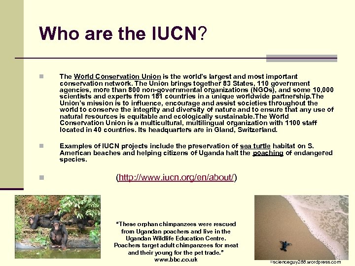 Who are the IUCN? n The World Conservation Union is the world’s largest and