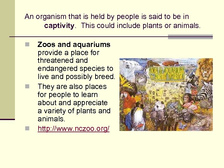 An organism that is held by people is said to be in captivity. This