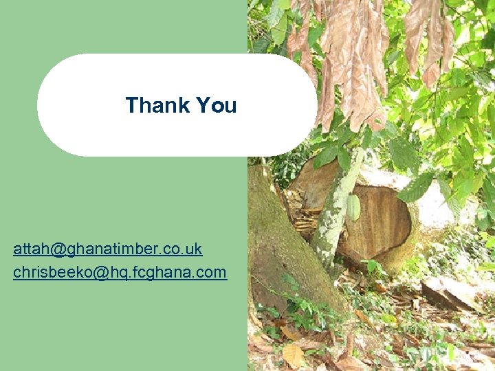 Thank You attah@ghanatimber. co. uk chrisbeeko@hq. fcghana. com 