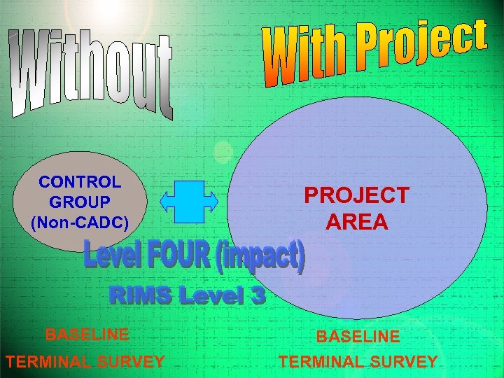 CONTROL GROUP (Non-CADC) BASELINE TERMINAL SURVEY PROJECT AREA BASELINE TERMINAL SURVEY 