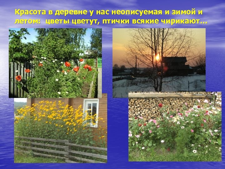 Красота в деревне у нас неописуемая и зимой и летом: цветы цветут, птички всякие