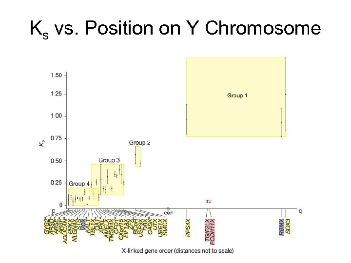 Ks vs. Position on Y Chromosome 