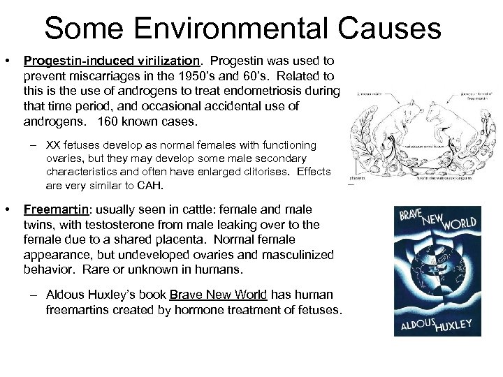 Some Environmental Causes • Progestin-induced virilization. Progestin was used to prevent miscarriages in the