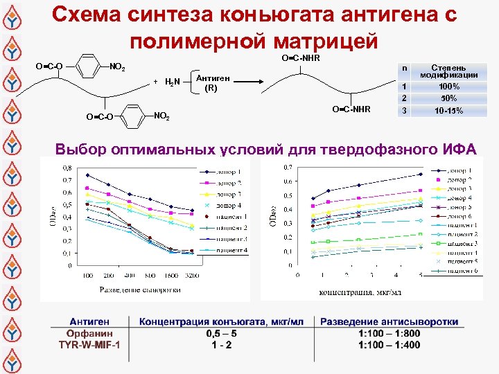 Схема синтеза коньюгата антигена с полимерной матрицей O=C-O O=C-NHR NO 2 + H 2