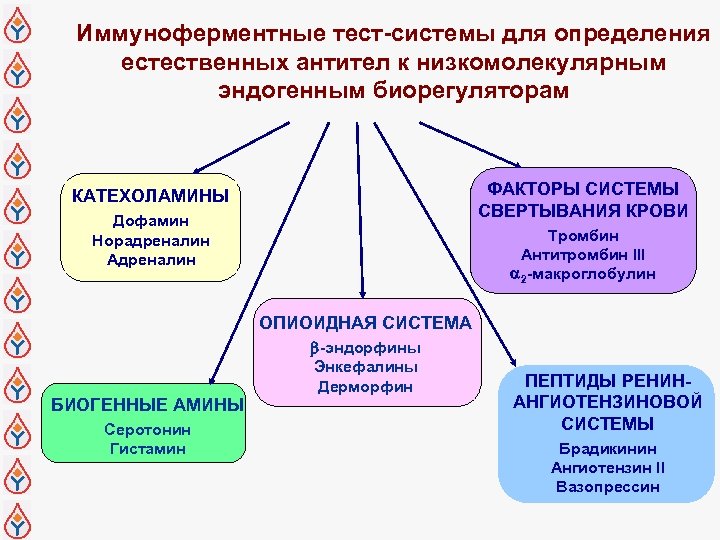 Иммуноферментные тест-системы для определения естественных антител к низкомолекулярным эндогенным биорегуляторам ФАКТОРЫ СИСТЕМЫ СВЕРТЫВАНИЯ КРОВИ