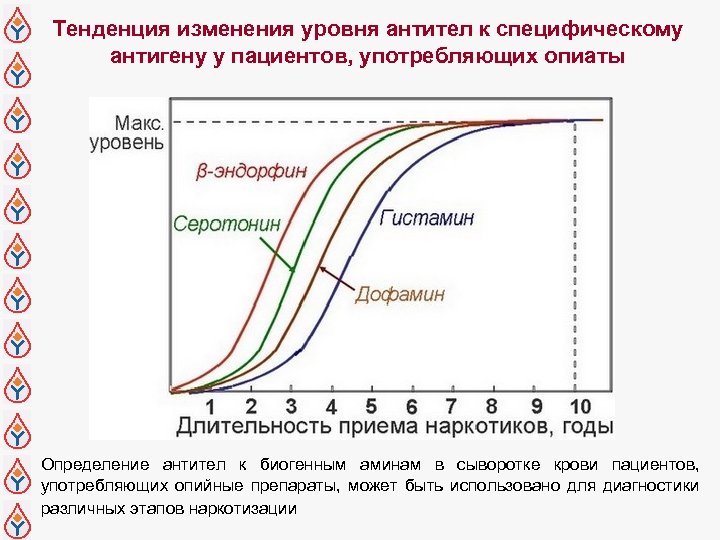 Тенденция изменения уровня антител к специфическому антигену у пациентов, употребляющих опиаты Определение антител к