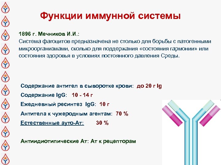 Функции иммунной системы 1896 г. Мечников И. И. : Система фагоцитов предназначена не столько