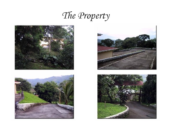 The Property 