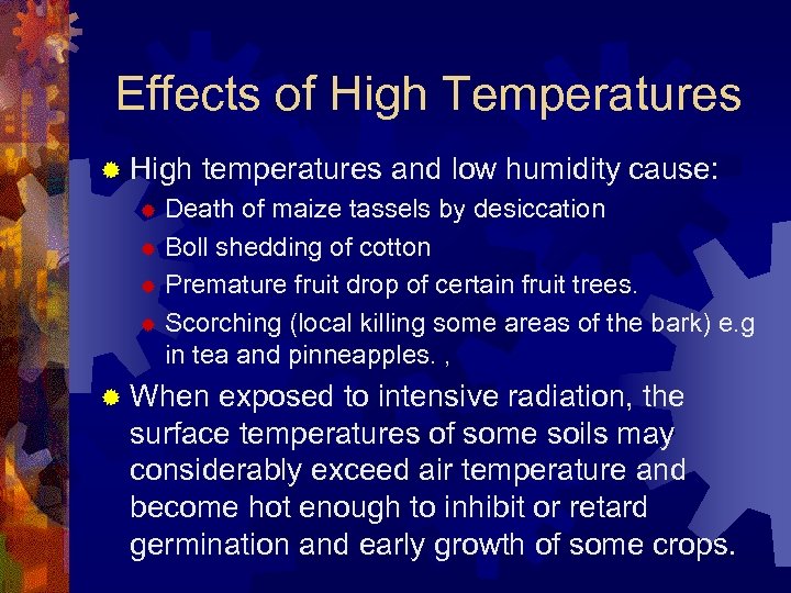 Effects of High Temperatures ® High temperatures and low humidity cause: Death of maize