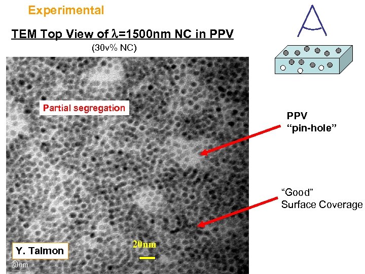 Experimental TEM Top View of =1500 nm NC in PPV (30 v% NC) Partial