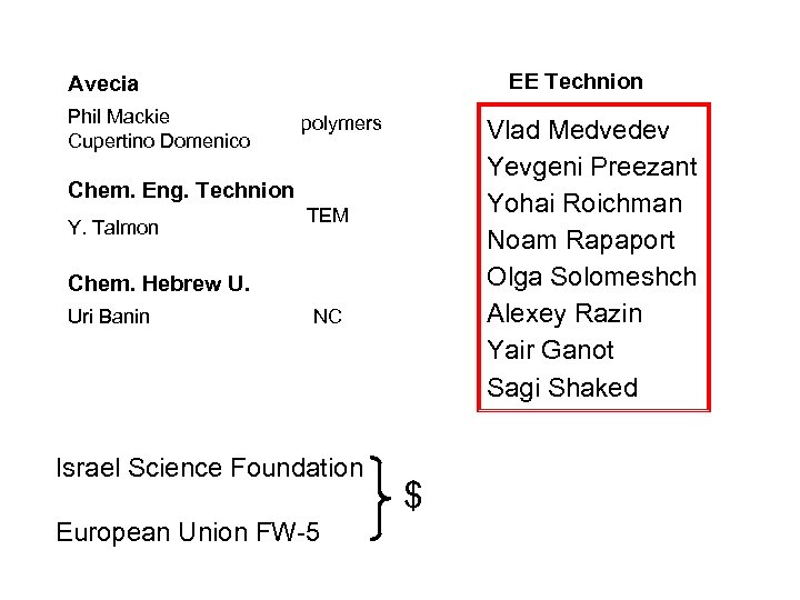 EE Technion Avecia Phil Mackie Cupertino Domenico polymers Vlad Medvedev Yevgeni Preezant Yohai Roichman