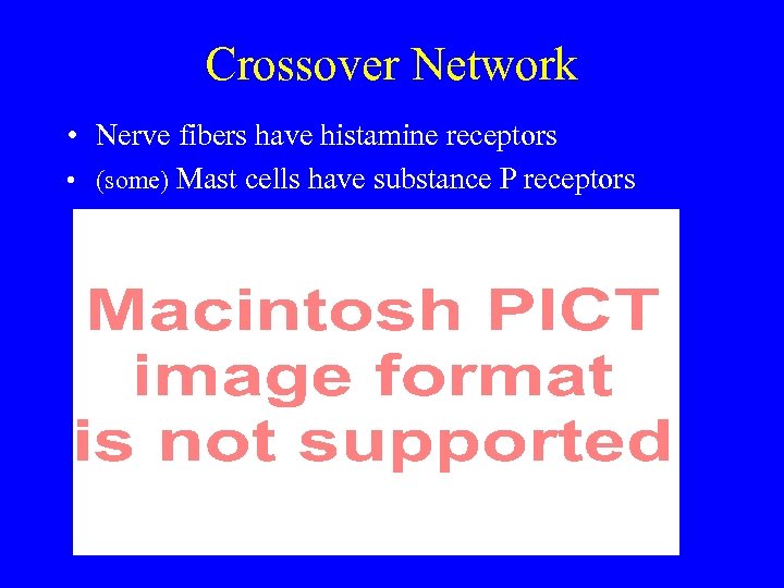 Crossover Network • Nerve fibers have histamine receptors • (some) Mast cells have substance