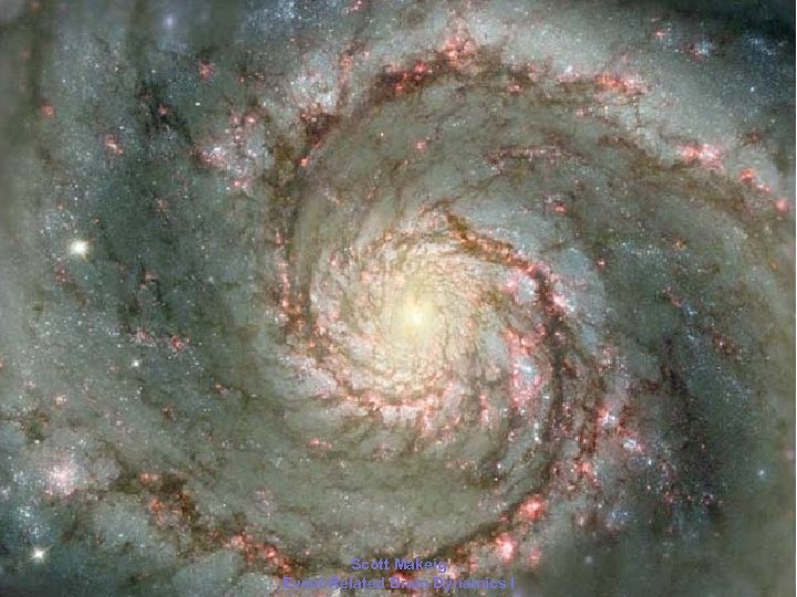 2006 Scott Makeig Event-Related Brain Dynamics I 