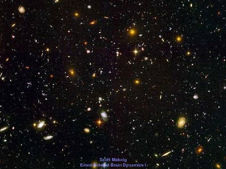 2006 Scott Makeig Event-Related Brain Dynamics I 