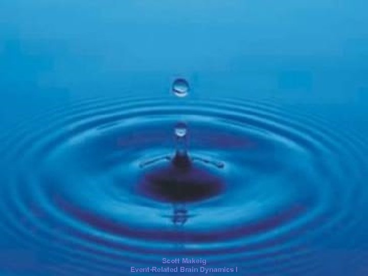 2006 Scott Makeig Event-Related Brain Dynamics I 