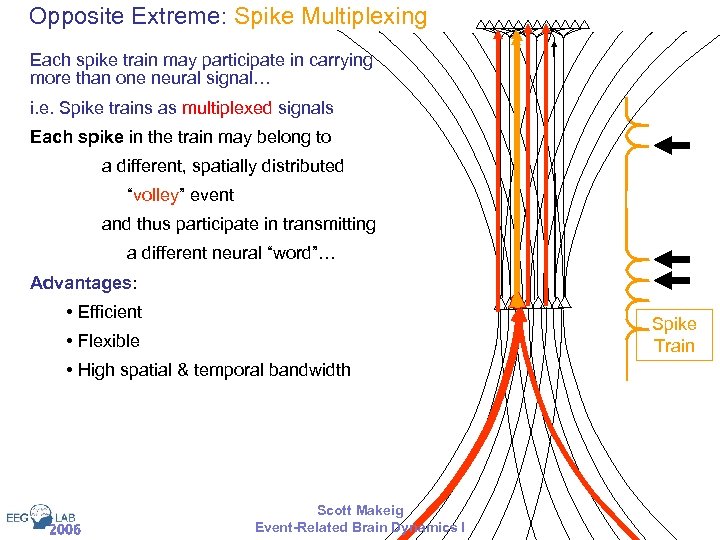 Opposite Extreme: Spike Multiplexing Each spike train may participate in carrying more than one