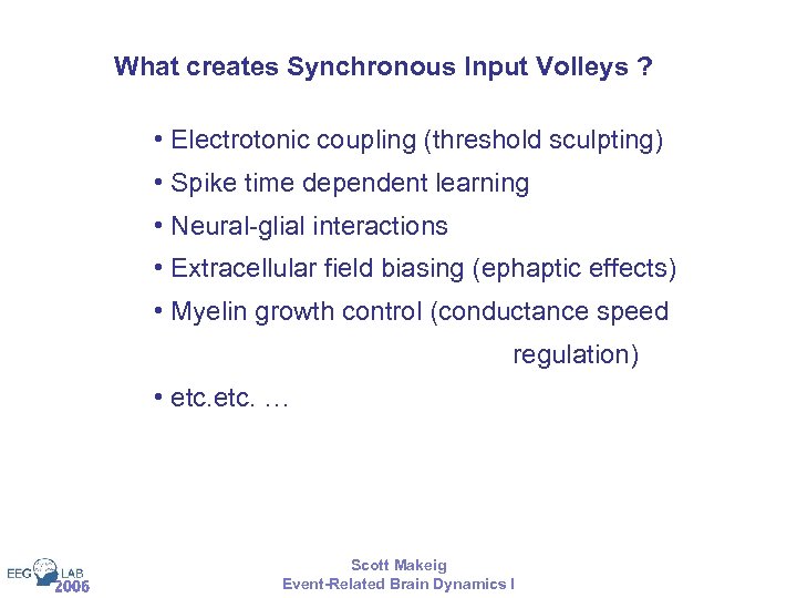 What creates Synchronous Input Volleys ? • Electrotonic coupling (threshold sculpting) • Spike time