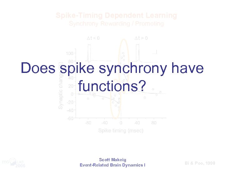 Spike-Timing Dependent Learning Synchrony Rewarding / Promoting Does spike synchrony have functions? 2006 Scott