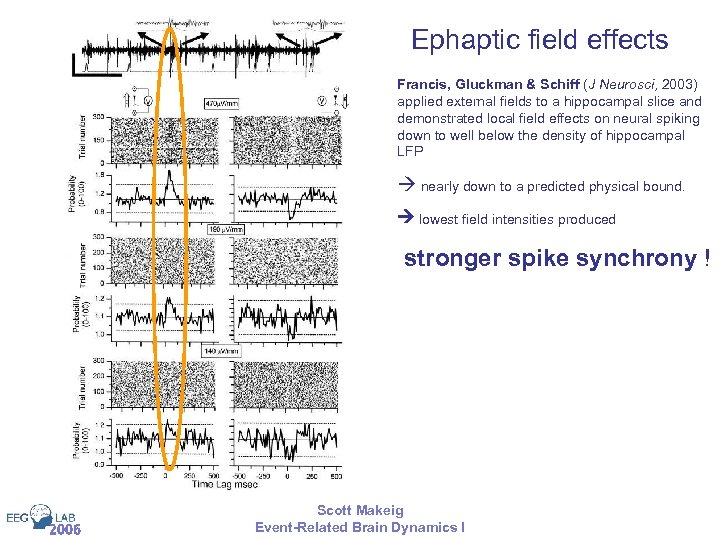 Ephaptic field effects Francis, Gluckman & Schiff (J Neurosci, 2003) applied external fields to