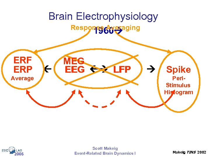 Brain Electrophysiology Response Averaging 1960 ERF ERP MEG EEG LFP Average 2006 Spike Peri.