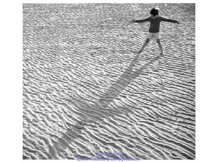 2006 Scott Makeig Event-Related Brain Dynamics I R. Ramirez, 2005 