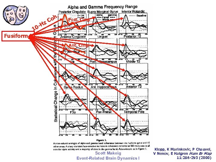 Hz Fusiform 10 h Co . Post. Cing. Ant. Cing. 2006 Scott Makeig Event-Related