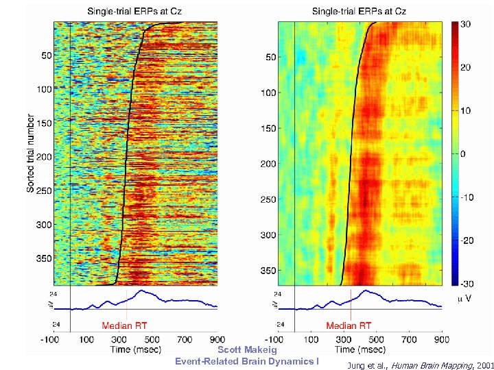 ERP-Image Plotting 1. Display single trials as color-coded horizontal lines (e. g. , red