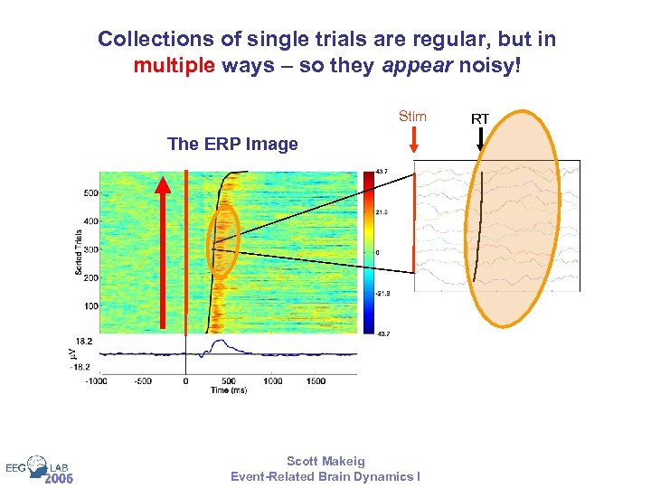 Collections of single trials are regular, but in multiple ways – so they appear