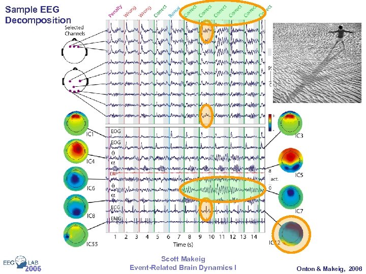 Sample EEG Decomposition 2006 Scott Makeig Event-Related Brain Dynamics I Onton & Makeig, 2006