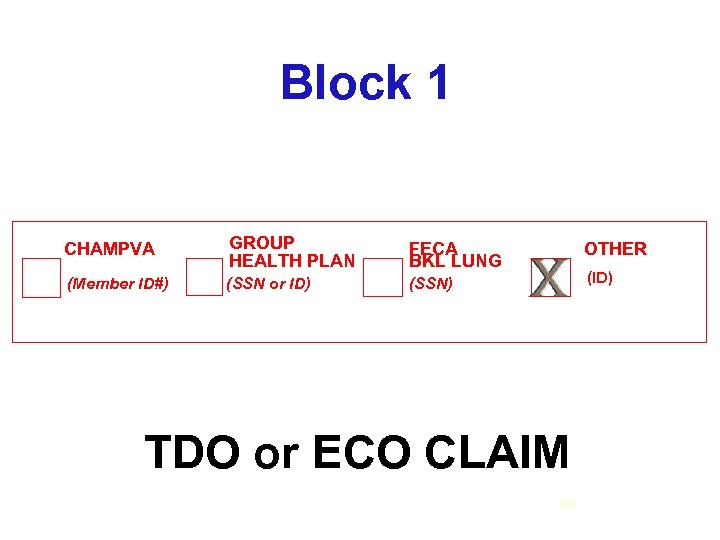 Block 1 CHAMPVA GROUP HEALTH PLAN FECA BKL LUNG (Member ID#) (SSN or ID)