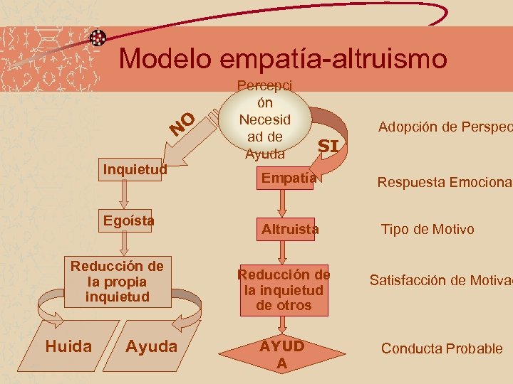 Modelo empatía-altruismo O N Inquietud Egoísta Reducción de la propia inquietud Huida Ayuda Percepci