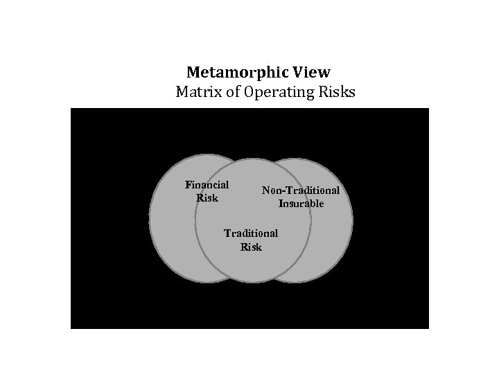 Metamorphic View Matrix of Operating Risks Financial Risk Non-Traditional Insurable Traditional Risk 