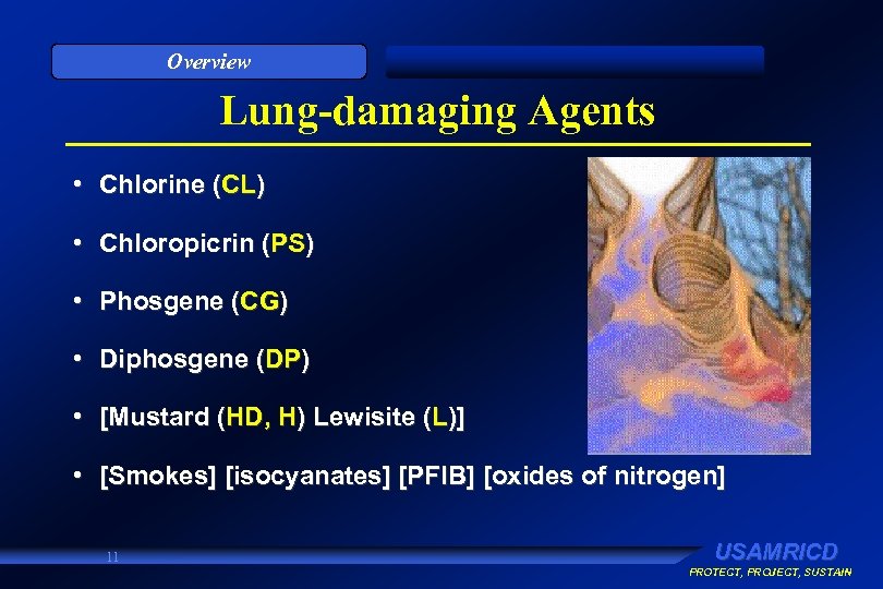 Overview Lung-damaging Agents • Chlorine (CL) • Chloropicrin (PS) • Phosgene (CG) • Diphosgene