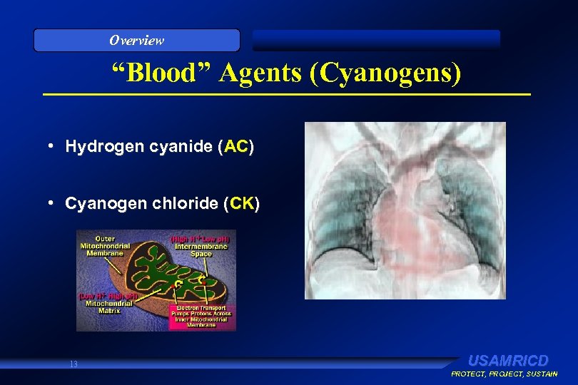 Overview “Blood” Agents (Cyanogens) • Hydrogen cyanide (AC) • Cyanogen chloride (CK) 13 USAMRICD