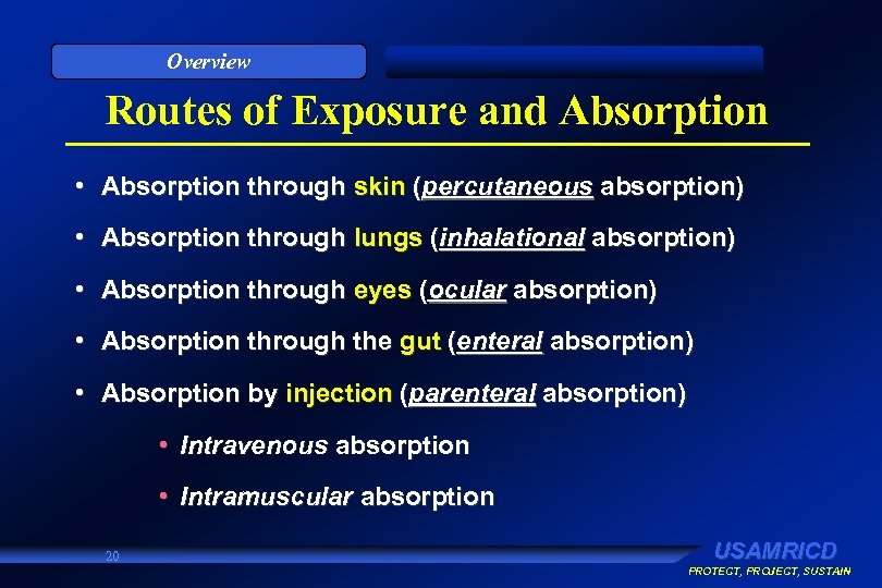 Overview Routes of Exposure and Absorption • Absorption through skin (percutaneous absorption) • Absorption