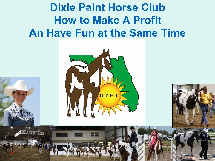 Dixie Paint Horse Club How to Make A Profit An Have Fun at the