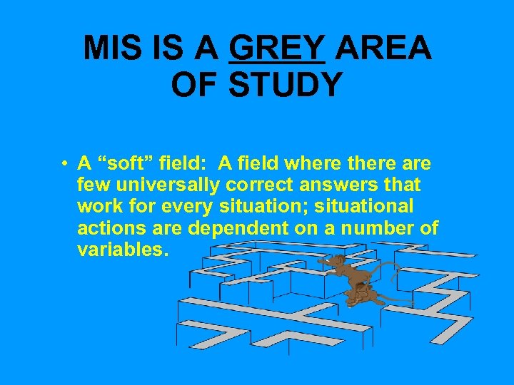 MIS IS A GREY AREA OF STUDY • A “soft” field: A field where