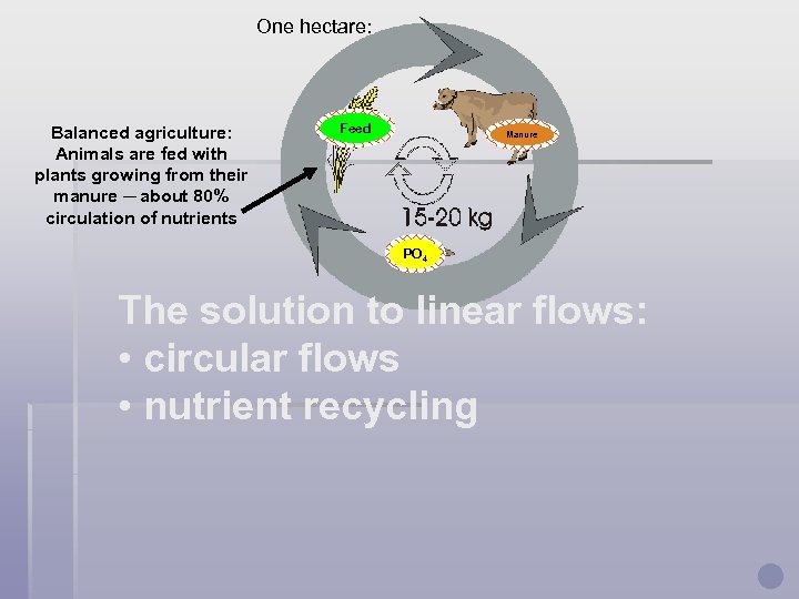 One hectare: Balanced agriculture: Animals are fed with plants growing from their manure ─