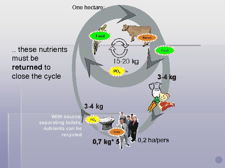 One hectare: Feed . . these nutrients must be returned to close the cycle