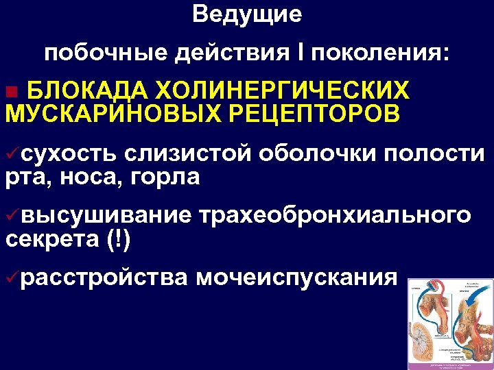 Ведущие побочные действия І поколения: БЛОКАДА ХОЛИНЕРГИЧЕСКИХ МУСКАРИНОВЫХ РЕЦЕПТОРОВ n üсухость слизистой оболочки полости